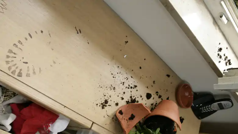 Zahlreiche Dämmerungseinbrüche in Wohnungen und Wohnhäuser in NÖ, Burgenland und Wien geklärt © polizei-beratung.de | Pol. Beratungsstelle (DE)